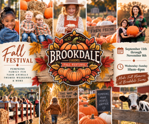 Brookdale Farms Fall